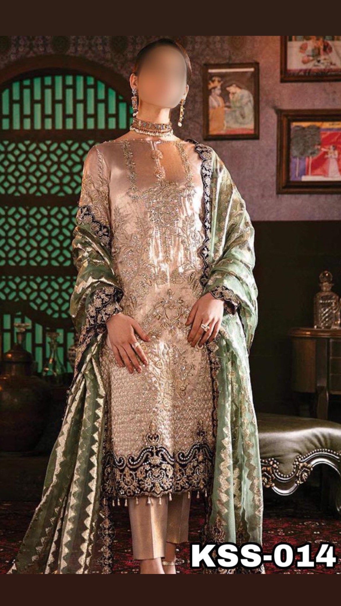 Party wear Pakistani suit