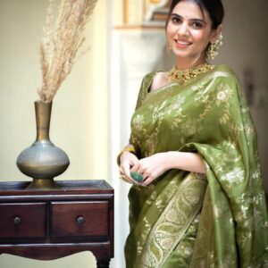 golden sequins embroidered stones shahara suit